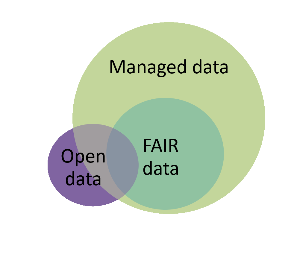 FAIR vs open data